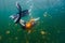 Child snorkeling in Jellyfish Lake