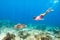 Child snorkeling. Kids underwater. Beach and sea