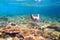 Child snorkeling. Kids underwater. Beach and sea