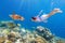 Child snorkeling. Kids underwater. Beach and sea