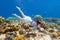 Child snorkeling. Kids underwater. Beach and sea