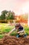 Child sowing vegetables in the home garden.