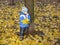 Child stand in autumn leaves