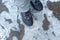 Child steps on frozen puddle with thin ice