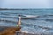 A child stood on a rock by the sea with an iron toy