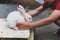 Child stroking a young, cute, white rabbit