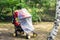 Child in stroller covered with protective net during walk. Baby carriage with anti-mosquito white cover. Midge