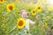 Child in sunflower field. Kids with sunflowers.