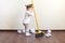 Child sweeps broom with paper bins in the apartment, household chores.