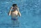 Child in swiming pool