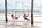 Child on swing. Kid swinging on beach