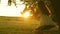 Child swinging on a swing in park in sun. young girl swinging on rope swing on an oak branch. teen girl enjoys flight on