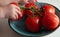 A child takes one tomato from a branch lying on a turquoise plate