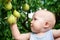 Child taking ripe pears at orchard in autumn. Little boy wanting to eat sweet fruit from tree in garden at fall harvest