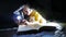 Child teen and dog reading girl reads book at night with kid flashlight lying under a blanket