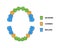 Child teeth dentition anatomy with descriptions. Child upper and lower jaw parts - incisor, canine and molar teeth