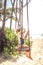 Child toddler swing beach during summer vacation concept happy childhood travel lifestyle