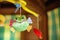 Child toy with frog hanging on baby cradle