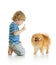 Child training Spitz dog. on white background.