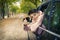 Child travelling in the car