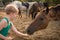 The child treats the horse with apples. A blonde girl feeds a brown horse from her palms. The boy holds out a treat to