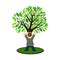 Child Tree Icon
