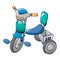 Child tricycle icon, cartoon style