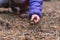 A child is trying to collect edible mushroom in the forest