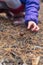 A child is trying to collect edible mushroom in the forest