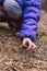 A child is trying to collect edible mushroom in the forest