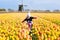 Child in tulip flower field. Windmill in Holland.