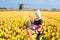 Child in tulip flower field. Windmill in Holland