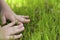 Child two hands touch green grass closeup view with copy space . Love nature. Enjoy spring summer yard. Children people