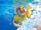 Child underwater in swimming pool. Kids swim