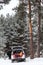 Child waiting parents in car trunk for luggage. Laying inside of vehicle with opened side and back door. Winter evergreen forest w