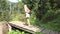 Child Walking in Forest, Kid Hiking Mountains, Girl Playing in Camping Adventure