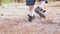 Child walking in the park on dry dusty terrain and falling down. Low angle close up shot