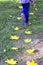 The child walks the leaves. Leaving autumn