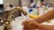 Child washing hands and drying with towel