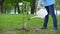 Child watering bush in park, nature protection, reforestation school project