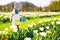 Child with watering can among tulips flowers on field