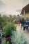 child watering flowers in huge terrace full of flowers