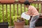 Child Watering Potted Plant on a Deck