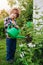 Child watering  summer garden from a watering can. Kid works in the garden in summertime. Baby boy is playing with water. Work for