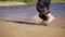 A child in wet pants is walking along a sandy beach. Feet close up.