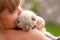 Child and a white kitten.