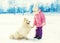 Child and white Samoyed dog gives paw playing winter day