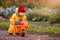 A child in yellow overalls drives a toy car with vegetables against the backdrop of a vegetable garden and cabbage beds