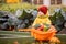 A child in yellow overalls drives a toy car with vegetables against the backdrop of a vegetable garden and cabbage beds