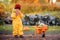 A child in yellow overalls drives a toy car with vegetables against the backdrop of a vegetable garden and cabbage beds